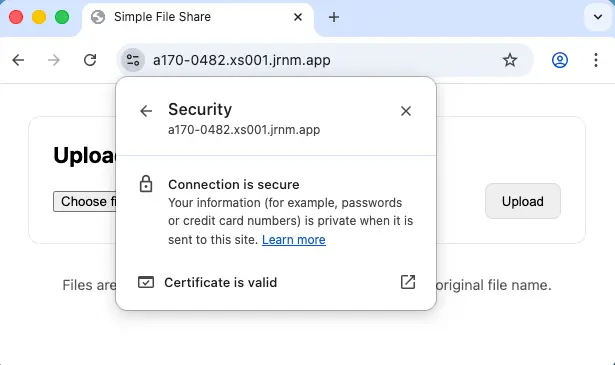 Automatic HTTPS/SSL and container port mapping
